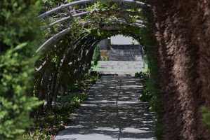 carrick hill 2014 (45)